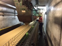 Stainless Steel Machinery & Guard Mesh